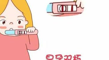 2026年甲亢在惠州市中心人民医院做试管的费用高吗？明细是怎么样的？