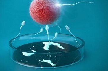 香港嘉诺撒医院试管婴儿流程及费用详解