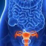 探讨未来哈萨克斯坦试管婴儿技术的发展方向