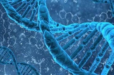 网上说的做试管婴儿的缺点已经开始显现了是什么意思？