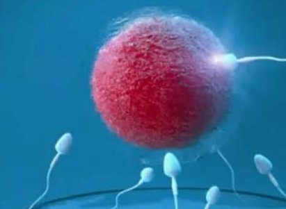 南昌试管私立医院有哪几家？南昌三代试管费用参考