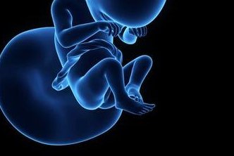 单角伴残子宫试管如何备孕成功率高？有这5大诀窍就够了