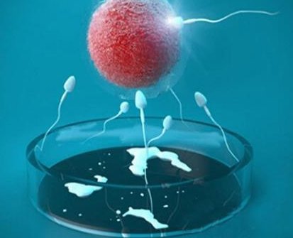 西藏阜康医院试管婴儿费用，西藏阜康医院试管费用一览表